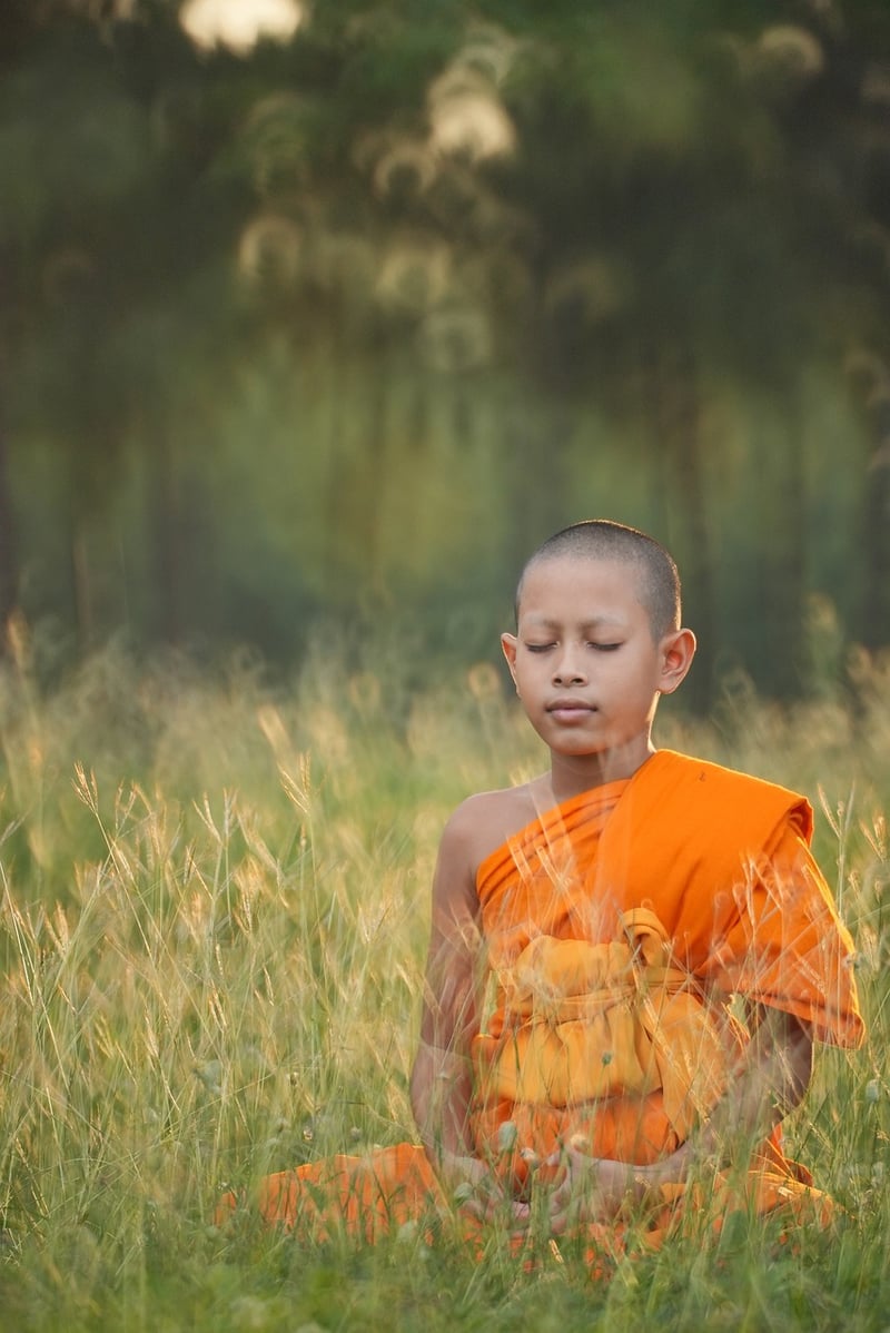Meditation Coach